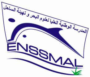 Logo-Enssmal